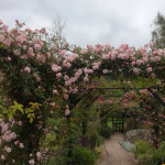 Rendez vous aux jardins jardin des glandelles bagneux