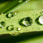 Les adresses eco-friendly à Paris