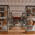 Insolite : Le Musée Fragonard de l'école vétérinaire de Maisons-Alfort