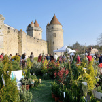 Rendez-vous aux Jardins 2023 : visite guidée et atelier potager au château de Blandy-les-Tours (77)