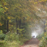 Journées du patrimoine 2018 à la forêt de Saint-Germain