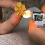 Miss Recuerdo : l'exposition gratuite de Grichka & Tohé Commaret à la Fondation Pernod-Ricard