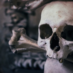 Halloween 2025 à Paris : les expériences et sorties terrifiantes en Île-de-France