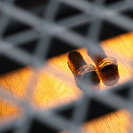 The Mutes, l'exposition de Lina Lapelytè à Lafayette Anticipations