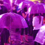 Nuit Blanche 2022: Purple Rain, installatie door Pierre Ardovin op de Climate Academy