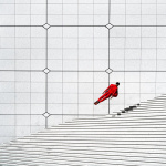 The Levitation Project : Forgetmat dévoile ses œuvres en lévitation à l'Espace Commines