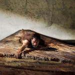 L'Homme qui rétrécit – Jean Dujardin face à l'inconnu dans une adaptation du roman culte