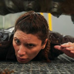 Kraken : le thriller fantastique norvégien de Pål Øie