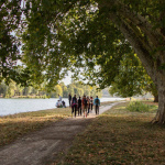 Coronavirus : peut-on encore se promener en forêt ?