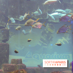 Les 60 ans de LEGO&reg; &agrave; l'Aquarium de Paris