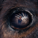 Animale d'Emma Benestan, film de clôture de la Semaine de la Critique 2024