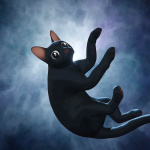 Flow de Gints Zilbalodis, en sélection Un Certain Regard au Festival de Cannes 2024