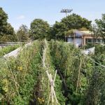 Ferme Suzanne