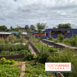 Terre Terre, la ferme-guinguette qui pousse au bord du canal à Aubervilliers (93)