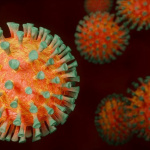 Coronavirus: Moins de 6% des Français ont été infectés d’après l’Institut Pasteur