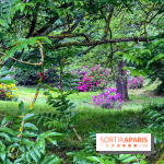 L'Arboretum de Versailles - Chevreloup