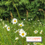 L'Arboretum de Versailles - Chevreloup