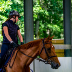 Équitation : où pratiquer les sports équestres à Paris et en Île-de-France