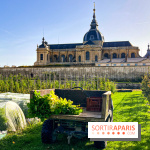 Les Saveurs du Potager du Roi à Versailles : marché de fruits & légumes, expositions et animations