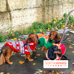 Paris Sausage Walk 2023 : la marche des teckels de retour dans la capitale, pour la bonne cause !