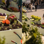 Insolite : Longchamp installe un potager éphémère sur le parvis de l'Opéra Garnier