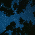 Une expérience immersive et sensorielle à vivre les yeux fermés depuis un transat suspendu à Sceaux (92)