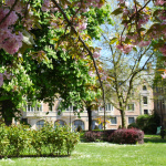 Festival "Jardins du monde en mouvement" à la Cité Universitaire