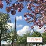 Visuel Paris, Tour Eiffel printemps