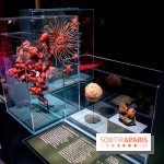 Océan, l'exposition à la Grande Galerie de l'Evolution