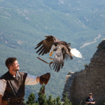 aigle spectacle