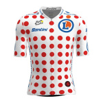 Tour de France : jaune, vert, à pois... Que représentent les différents maillots ?