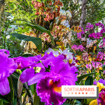 Exposition Mille et une Orchidées 2020 au Jardin des Plantes - les photos