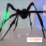 Araignées, Lucioles et Papillons au Musée en Herbe : nos photos