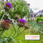 Le jardin des Arts-Albert Schweitzer à Paris, les photos