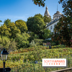 Montmartre Paris - fete des vendanges