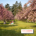 Le Parc de Sceaux et ses cerisiers en fleurs