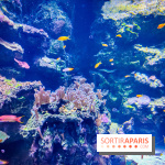 L'Aquarium Tropical de la Porte Dorée