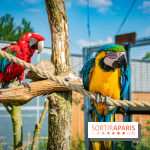 Parrot World, le parc animalier immersif d'Île-de-France