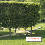 Le domaine royal de Marly et son musée !