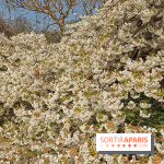 La Fête des sens s'invite au Jardin des Plantes