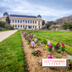 Visuels musée et monument - muséum histoire naturelle jardin des plantes