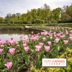 Le Château de Saint-Jean de Beauregard et son Jardin remarquable