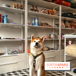 Barkers+Brothers, le concept store canin pour chouchouter son chien à Montmartre