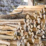 Pénurie de bois de chauffage : quelles seront les conséquences ?