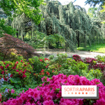 Arboretum de la Vallée-aux-Loups, une balade au milieu des arbres remarquables - A7C07775
