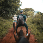 Balade cheval forêt Fontainebleau