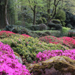 Jardin botanique Paris-Saclay