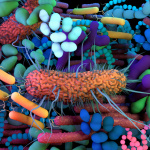 Mes microbes du ventre : une exposition ludique et gratuite pour découvrir son microbiote en famille