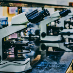 visuel sciences