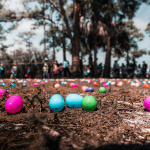 Chasse aux oeufs de Pâques 2022 du Domaine des Macarons de Réau (77)